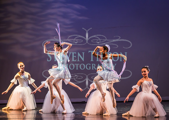 Destiny Winter Gala 2013
