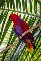 Asheboro Zoo