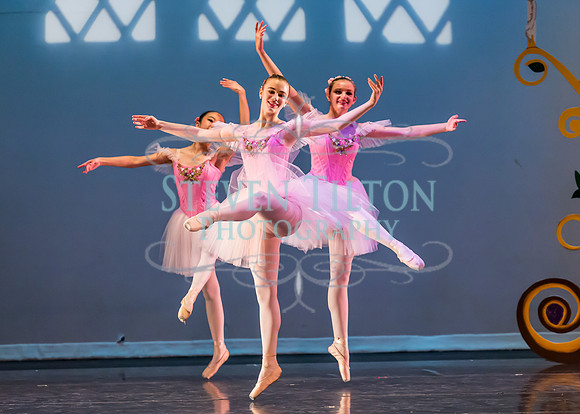 DDI - A Winter Gala
