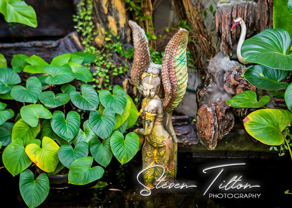 A Visit to Thailand