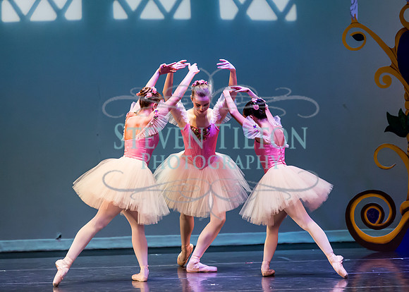 DDI - A Winter Gala