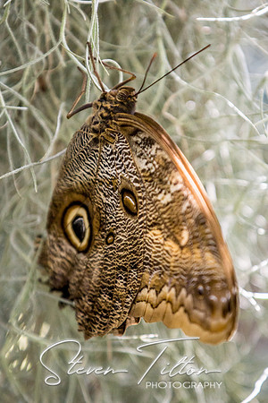 Indianapolis Zoo
