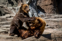 Indianapolis Zoo