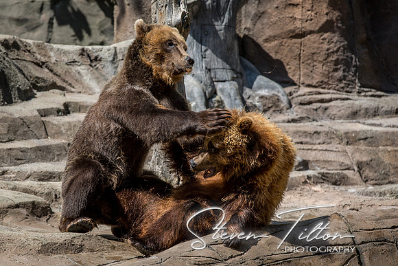Indianapolis Zoo