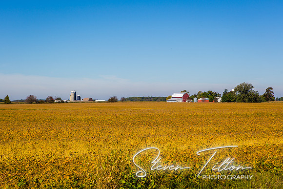 Michigan Landscape