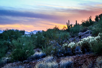 Paradise City, Arizona