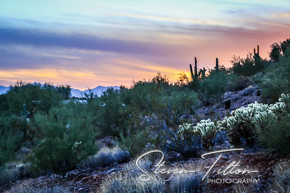 Paradise City, Arizona