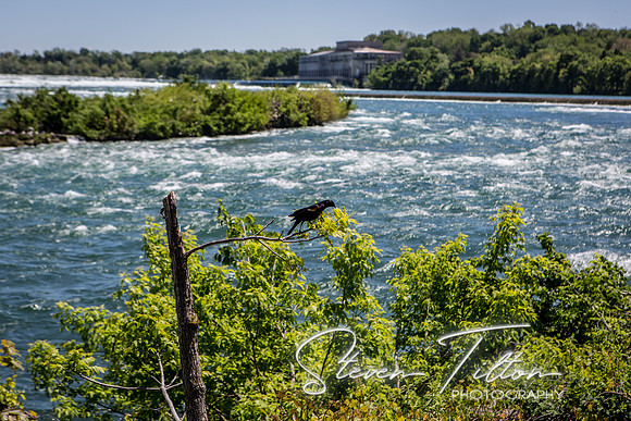 Niagara Falls Canada