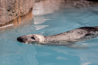 Indianapolis Zoo