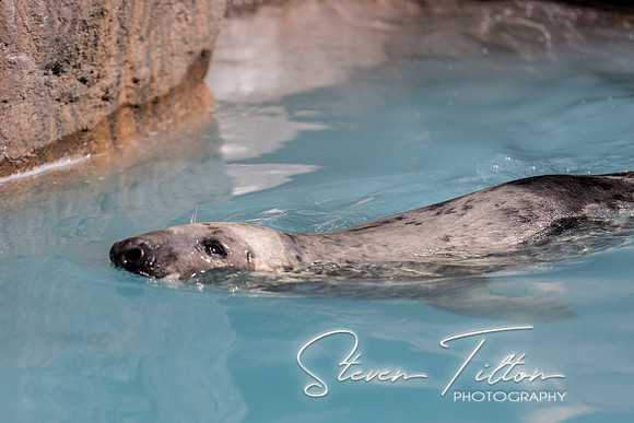 Indianapolis Zoo