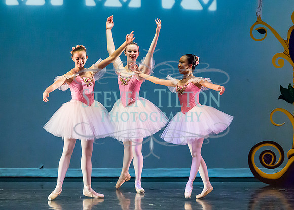 DDI Winter Gala III