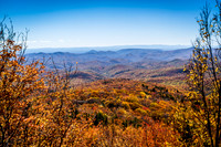 Mountain Foilage