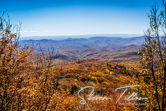 Mountain Foilage