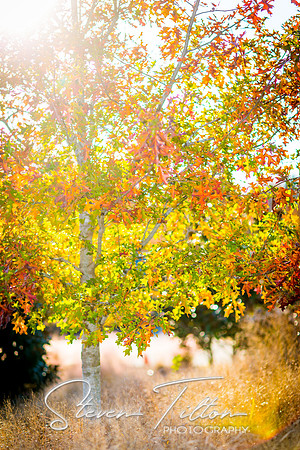 Joyner Park