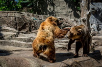 Indianapolis Zoo