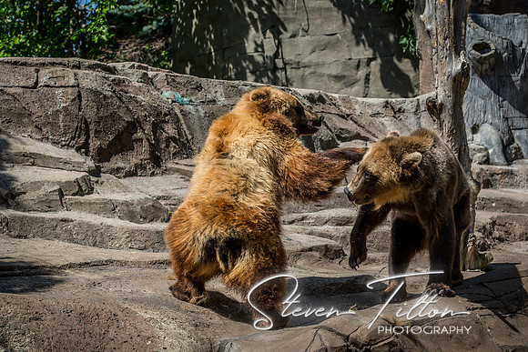 Indianapolis Zoo