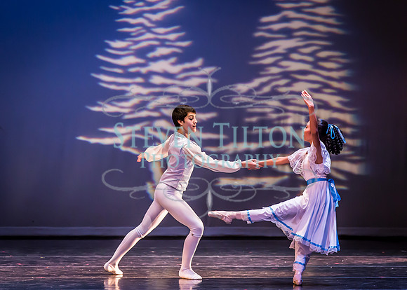 Destiny Winter Gala 2013
